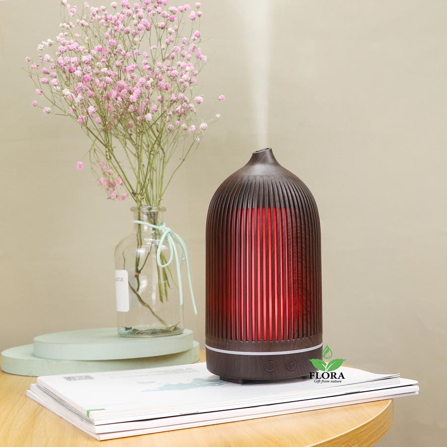 máy khuếch tán núi lửa 1