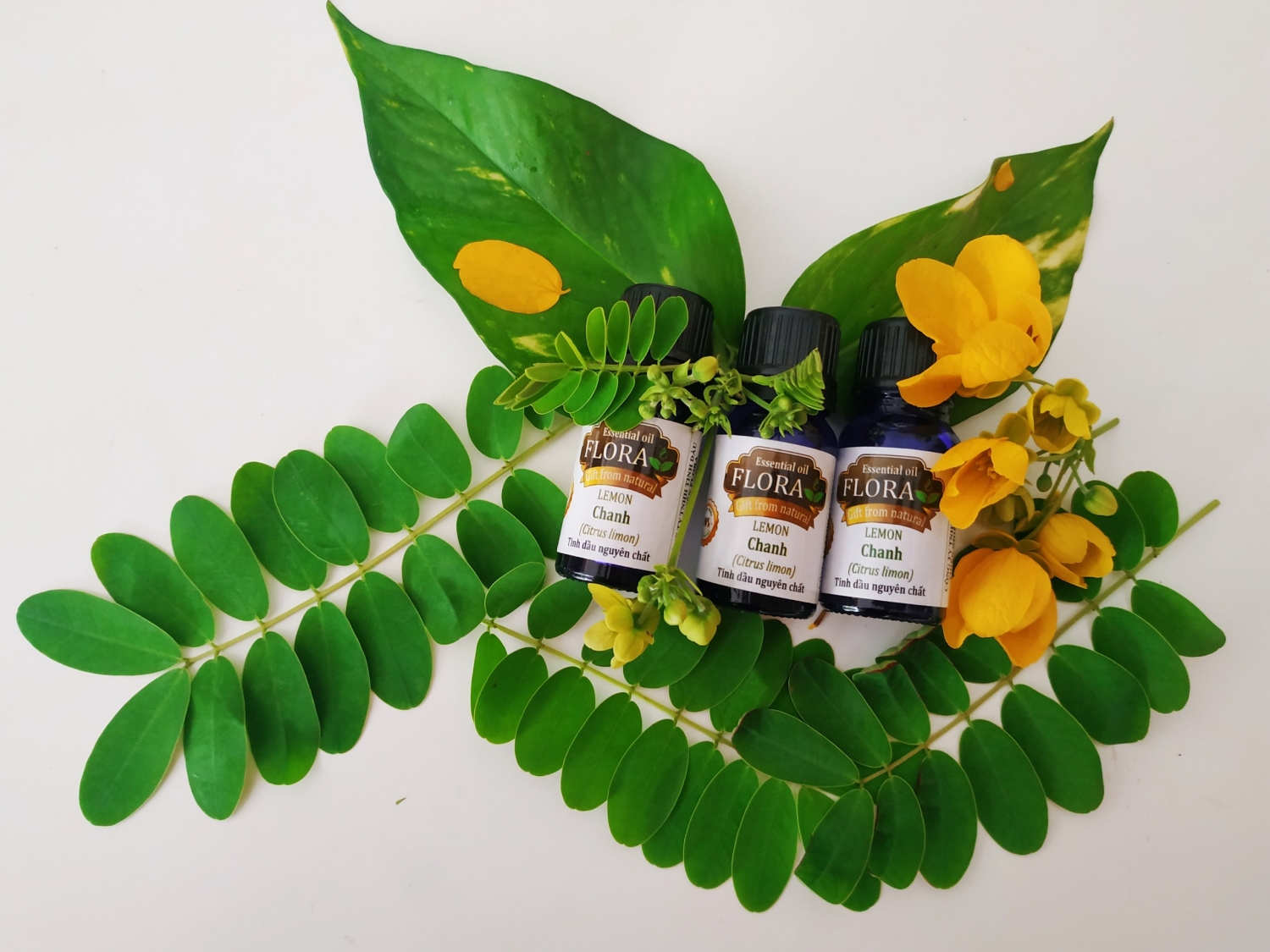 tinh dau chanh 10ml