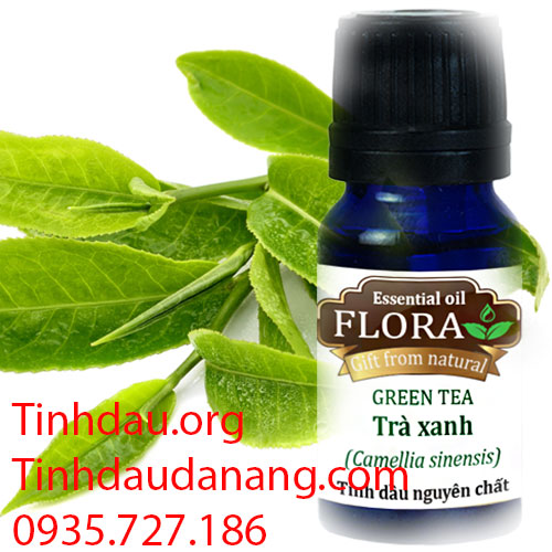 tinh dầu trà xanh